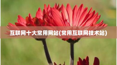 互联网十大常用网站(常用互联网技术站)