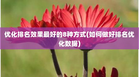 优化排名效果最好的8种方式(如何做好排名优化数据)