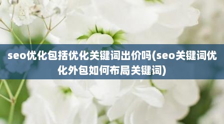 seo优化包括优化关键词出价吗(seo关键词优化外包如何布局关键词)
