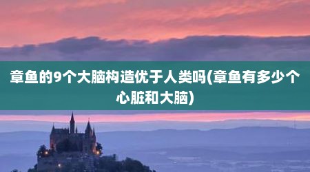 章鱼的9个大脑构造优于人类吗(章鱼有多少个心脏和大脑)