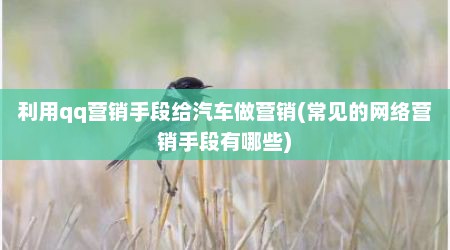 利用qq营销手段给汽车做营销(常见的网络营销手段有哪些)