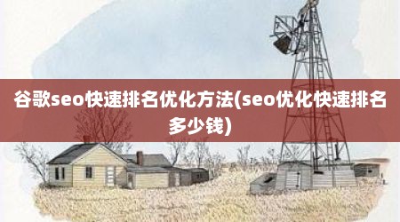 谷歌seo快速排名优化方法(seo优化快速排名多少钱)