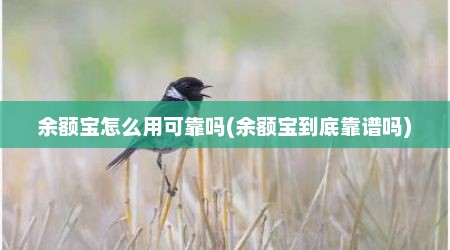 余额宝怎么用可靠吗(余额宝到底靠谱吗)