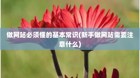 做网站必须懂的基本常识(新手做网站需要注意什么)