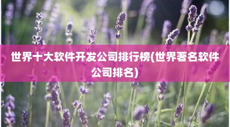 世界十大软件开发公司排行榜(世界著名软件公司排名)