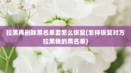 拉黑再删除黑名单要怎么恢复(怎样恢复对方拉黑我的黑名单)