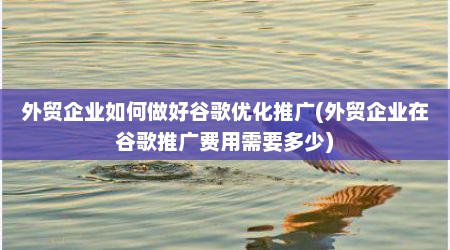 外贸企业如何做好谷歌优化推广(外贸企业在谷歌推广费用需要多少)