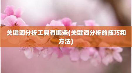 关键词分析工具有哪些(关键词分析的技巧和方法)