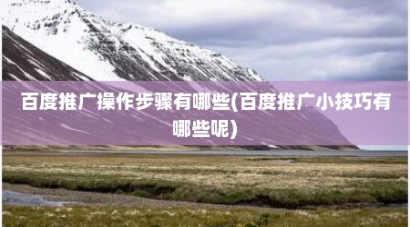 百度推广操作步骤有哪些(百度推广小技巧有哪些呢)