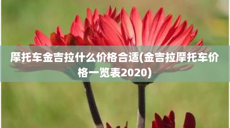摩托车金吉拉什么价格合适(金吉拉摩托车价格一览表2020)