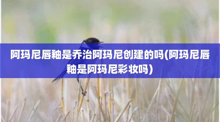 阿玛尼唇釉是乔治阿玛尼创建的吗(阿玛尼唇釉是阿玛尼彩妆吗)