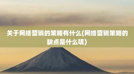 关于网络营销的策略有什么(网络营销策略的缺点是什么呢)