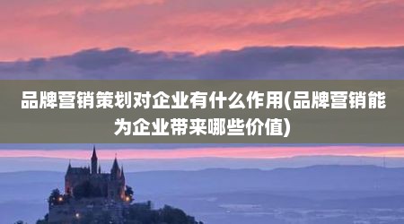 品牌营销策划对企业有什么作用(品牌营销能为企业带来哪些价值)