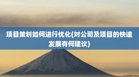 项目策划如何进行优化(对公司及项目的快速发展有何建议)