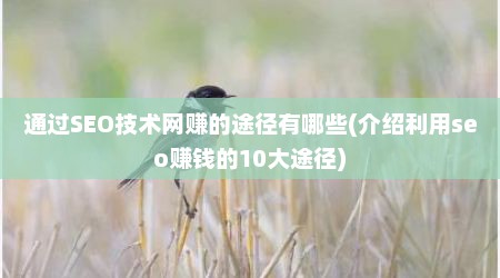 通过SEO技术网赚的途径有哪些(介绍利用seo赚钱的10大途径)