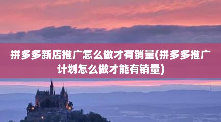 拼多多新店推广怎么做才有销量(拼多多推广计划怎么做才能有销量)