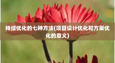 持续优化的七种方法(项目设计优化和方案优化的意义)