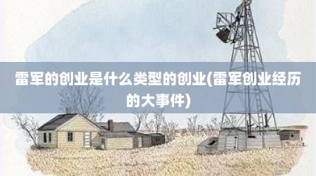 雷军的创业是什么类型的创业(雷军创业经历的大事件)
