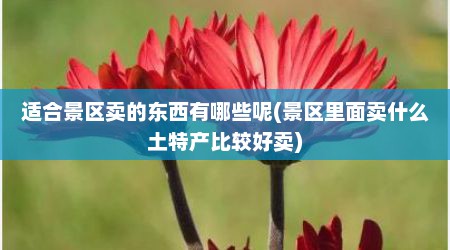 适合景区卖的东西有哪些呢(景区里面卖什么土特产比较好卖)