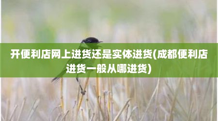 开便利店网上进货还是实体进货(成都便利店进货一般从哪进货)