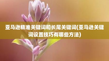 亚马逊精准关键词和长尾关键词(亚马逊关键词设置技巧有哪些方法)