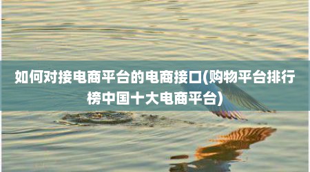 如何对接电商平台的电商接口(购物平台排行榜中国十大电商平台)