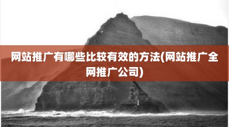 网站推广有哪些比较有效的方法(网站推广全网推广公司)