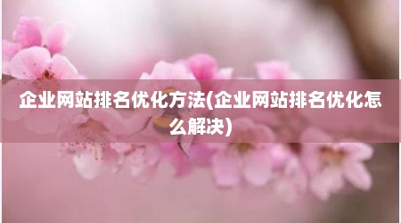 企业网站排名优化方法(企业网站排名优化怎么解决)