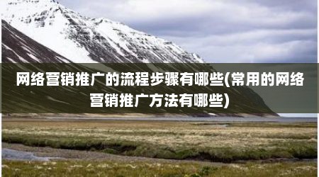 网络营销推广的流程步骤有哪些(常用的网络营销推广方法有哪些)