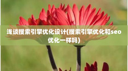 浅谈搜索引擎优化设计(搜索引擎优化和seo优化一样吗)