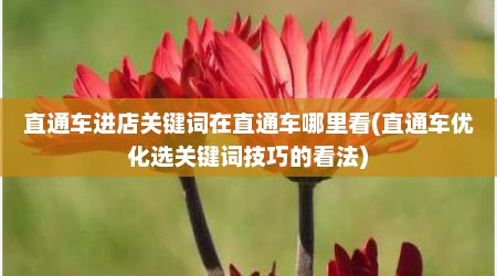 直通车进店关键词在直通车哪里看(直通车优化选关键词技巧的看法)