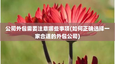 公司外包需要注意哪些事项(如何正确选择一家合适的外包公司)