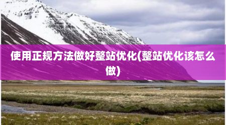 使用正规方法做好整站优化(整站优化该怎么做)