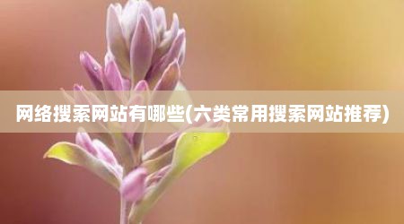 网络搜索网站有哪些(六类常用搜索网站推荐)