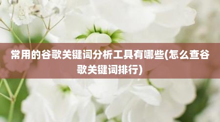 常用的谷歌关键词分析工具有哪些(怎么查谷歌关键词排行)