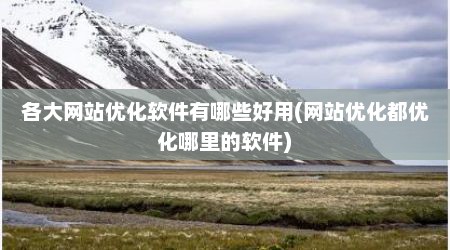 各大网站优化软件有哪些好用(网站优化都优化哪里的软件)