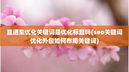 直通车优化关键词是优化标题吗(seo关键词优化外包如何布局关键词)