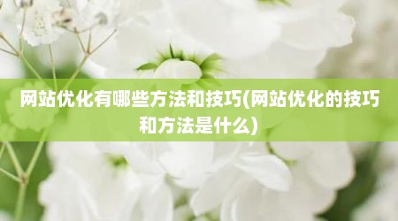 网站优化有哪些方法和技巧(网站优化的技巧和方法是什么)