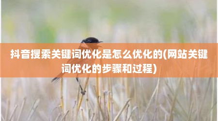 抖音搜索关键词优化是怎么优化的(网站关键词优化的步骤和过程)