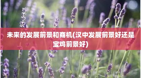 未来的发展前景和商机(汉中发展前景好还是宝鸡前景好)