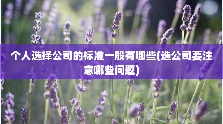 个人选择公司的标准一般有哪些(选公司要注意哪些问题)