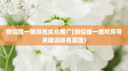 微信搜一搜排名优化推广(微信搜一搜视频号关键词排名原理)