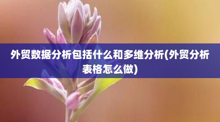 外贸数据分析包括什么和多维分析(外贸分析表格怎么做)