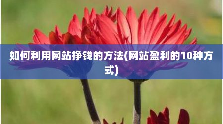 如何利用网站挣钱的方法(网站盈利的10种方式)