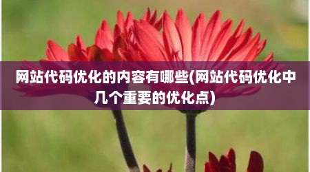 网站代码优化的内容有哪些(网站代码优化中几个重要的优化点)
