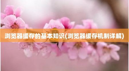 浏览器缓存的基本知识(浏览器缓存机制详解)