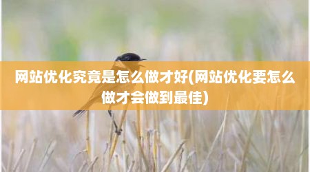 网站优化究竟是怎么做才好(网站优化要怎么做才会做到最佳)
