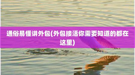 通俗易懂讲外包(外包接活你需要知道的都在这里)