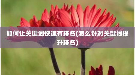 如何让关键词快速有排名(怎么针对关键词提升排名)