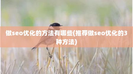 做seo优化的方法有哪些(推荐做seo优化的3种方法)
